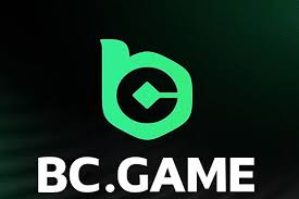 Unlocking the Future A Deep Dive into BC.Game and its Community